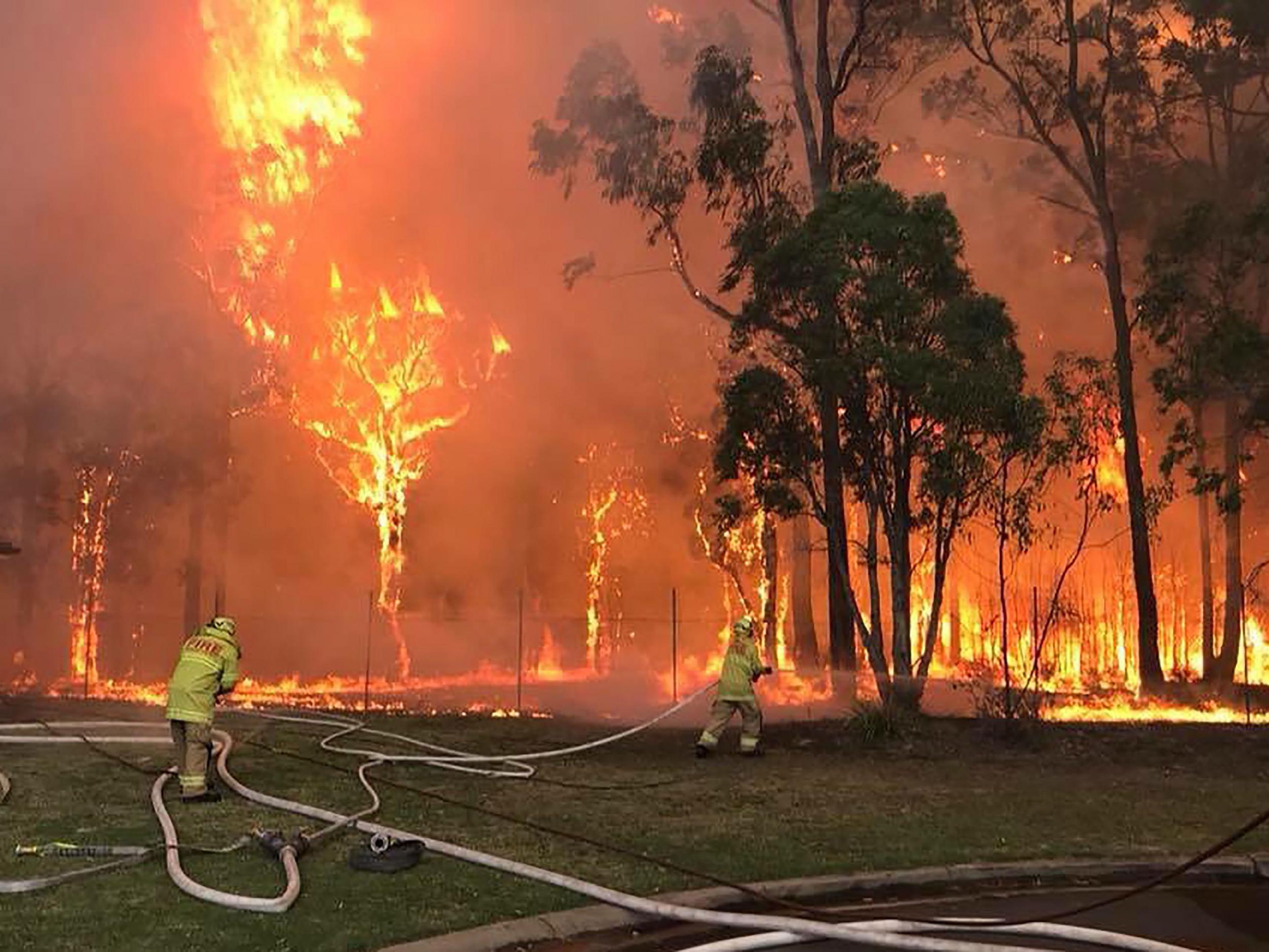 Australia bushfires 