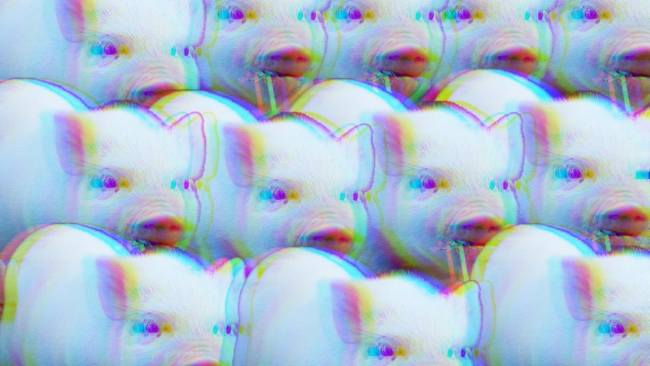 Research: You might think Twitter is a hellhole, but its memes are surprisingly wholesome