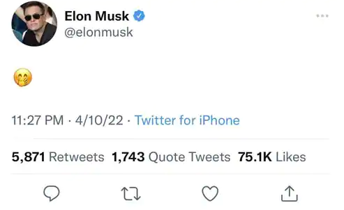 Elon Musk Twitter board 