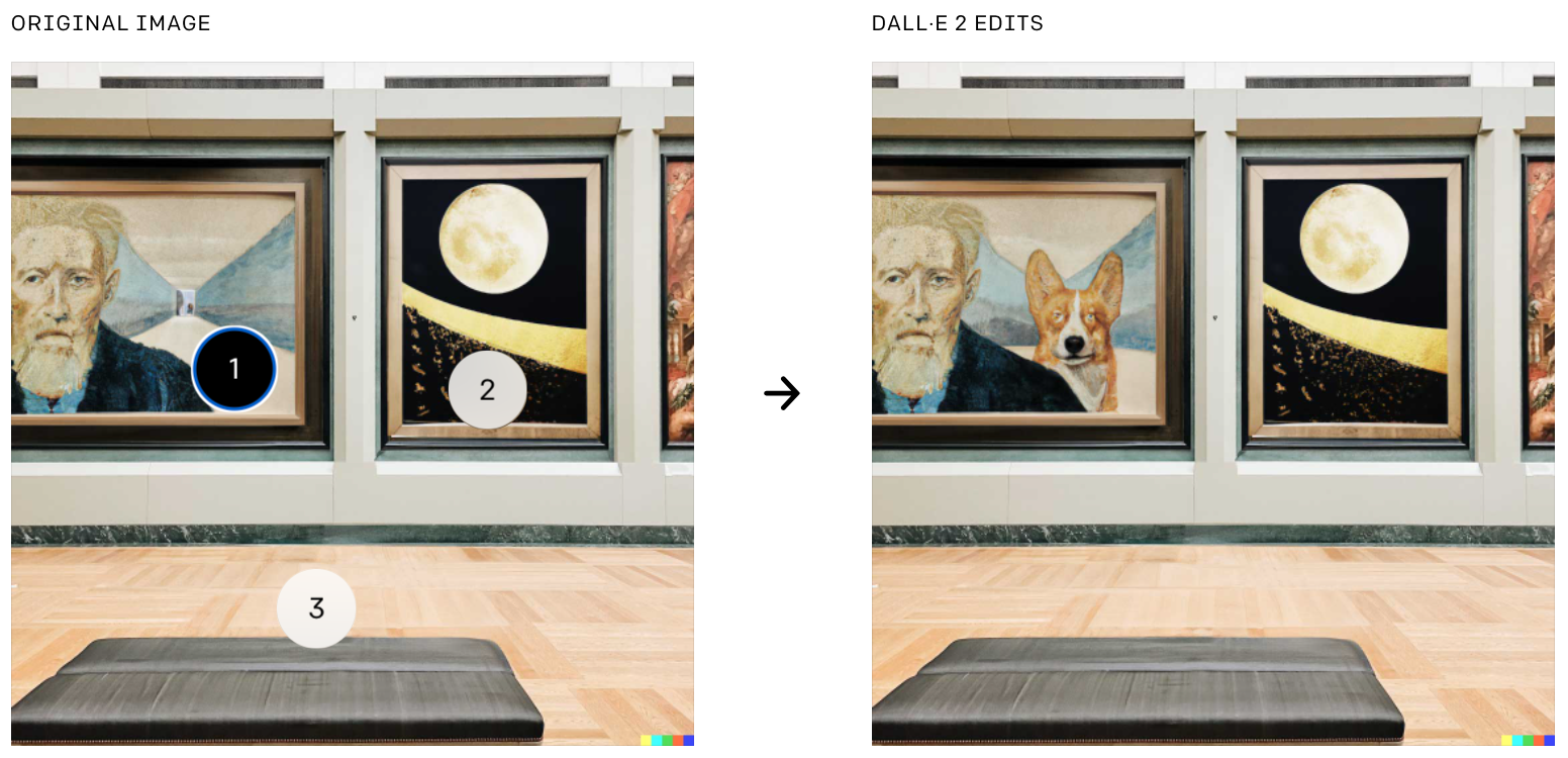 DALL·E 2 puede realizar cambios realistas en las imágenes existentes a partir de una leyenda en lenguaje natural.  Puede agregar y eliminar elementos teniendo en cuenta sombras, reflejos y texturas.