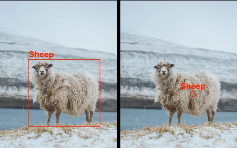Sheep-object-detection-bounding-box-vs-centroide