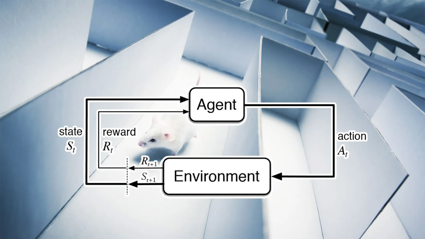 Everything you need to know about model-free and model-based reinforcement learning Featured Image