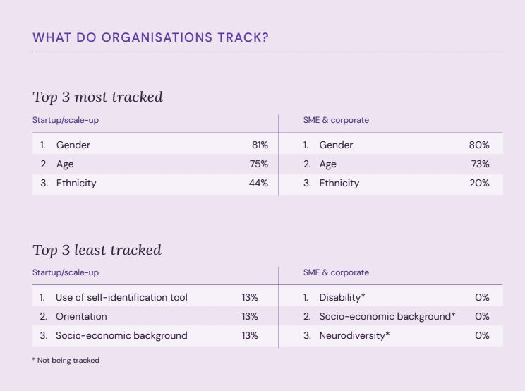 Table showing the top diversity metrics tracked by tech companies in the Netherlands