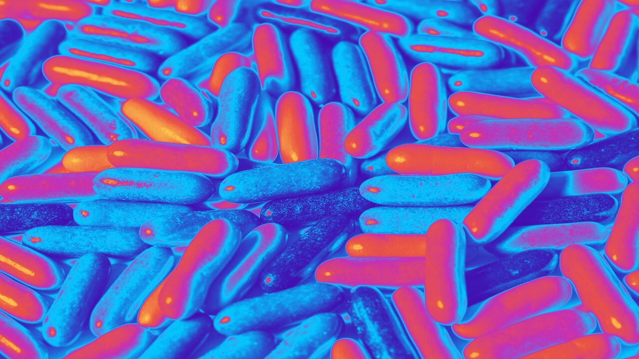 3D-printed personalized meds are almost here, thanks to this Finnish startup