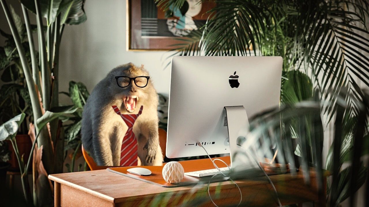 5 job hunting tips to get your dream role in 2023