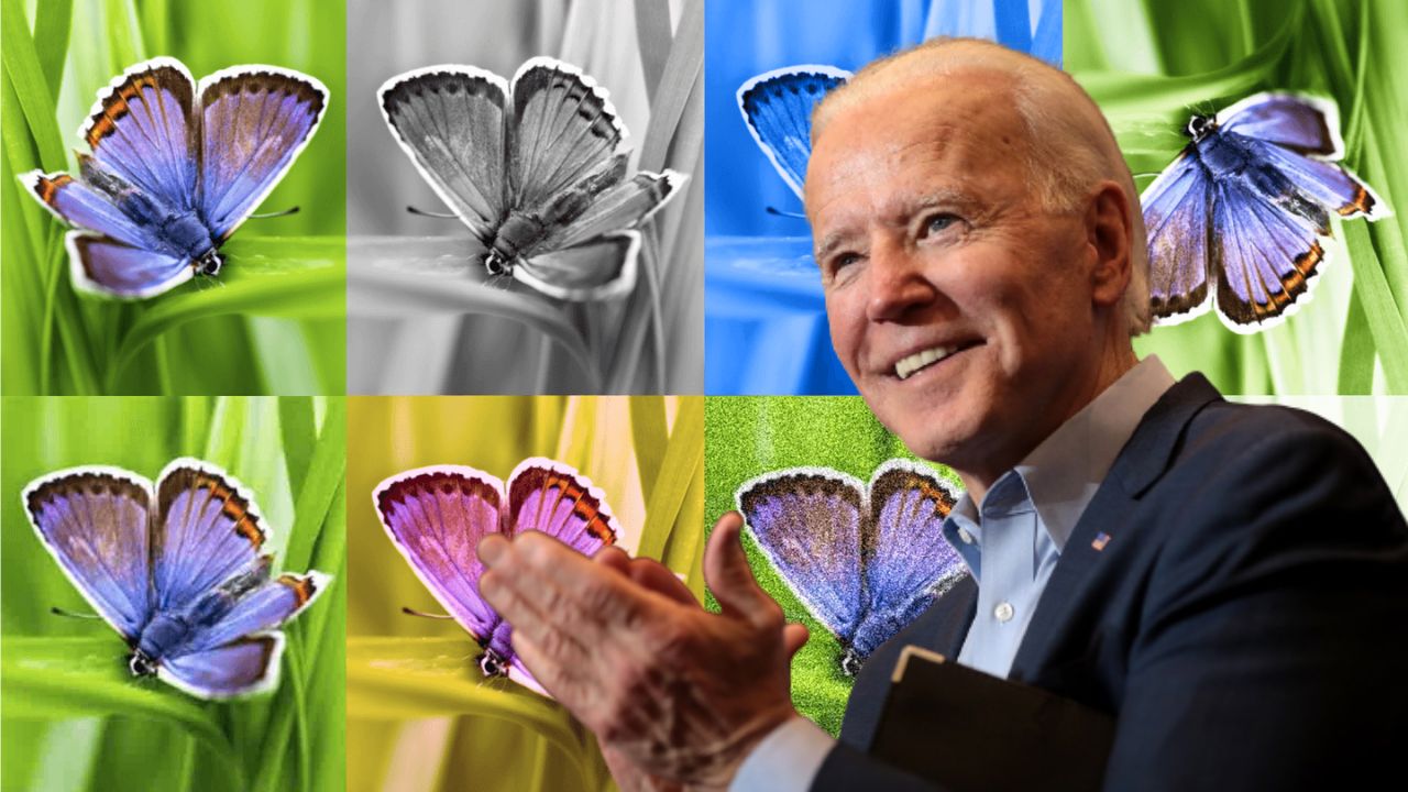 Google DeepMind unveils AI watermarking tool as political pressure mounts