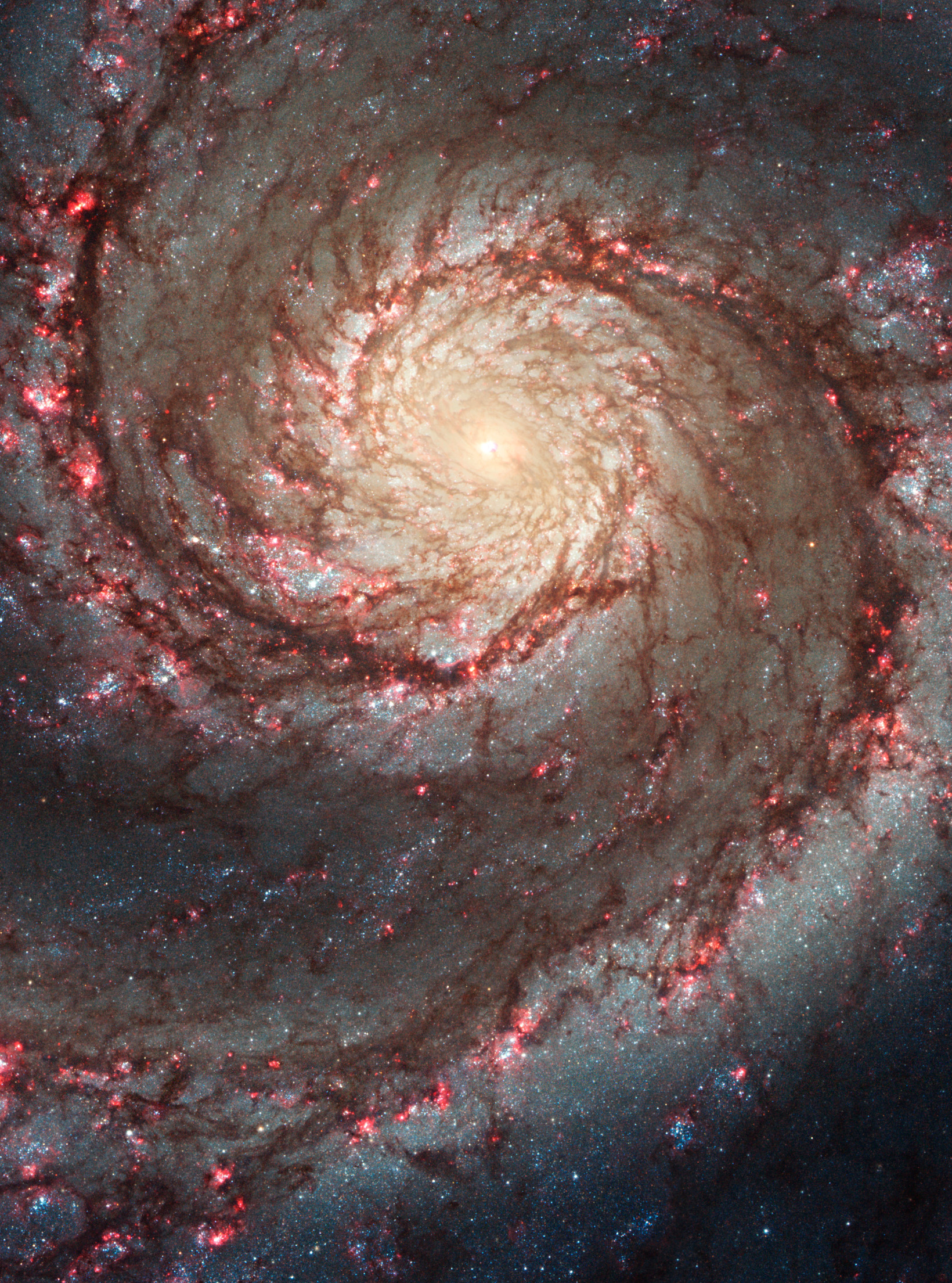 James Webb telescope captures clearest image ever of Whirlpool galaxy ...