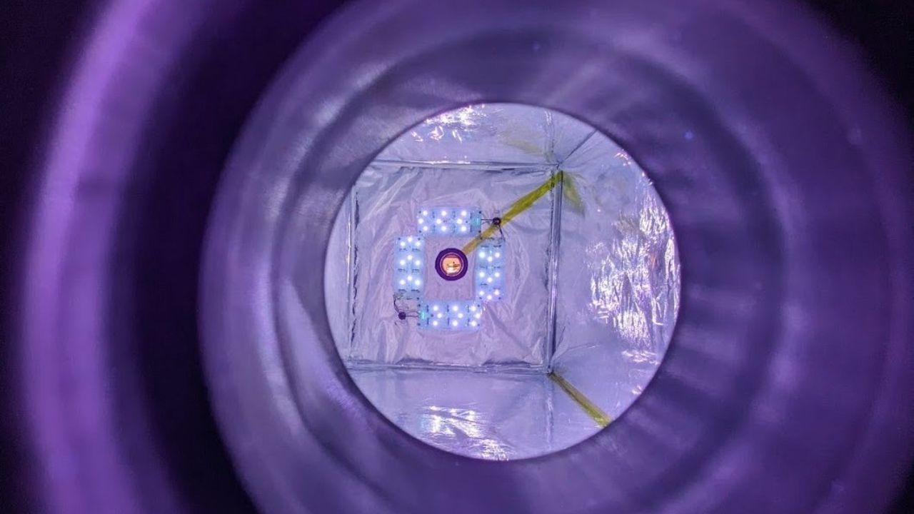 New ‘methane cleaner’ reactor could reduce emissions from livestock