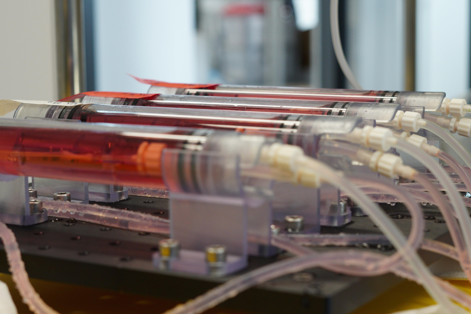 A series of bioreactors for bioengineering vein grafts, developed by CSEM and ClexBio