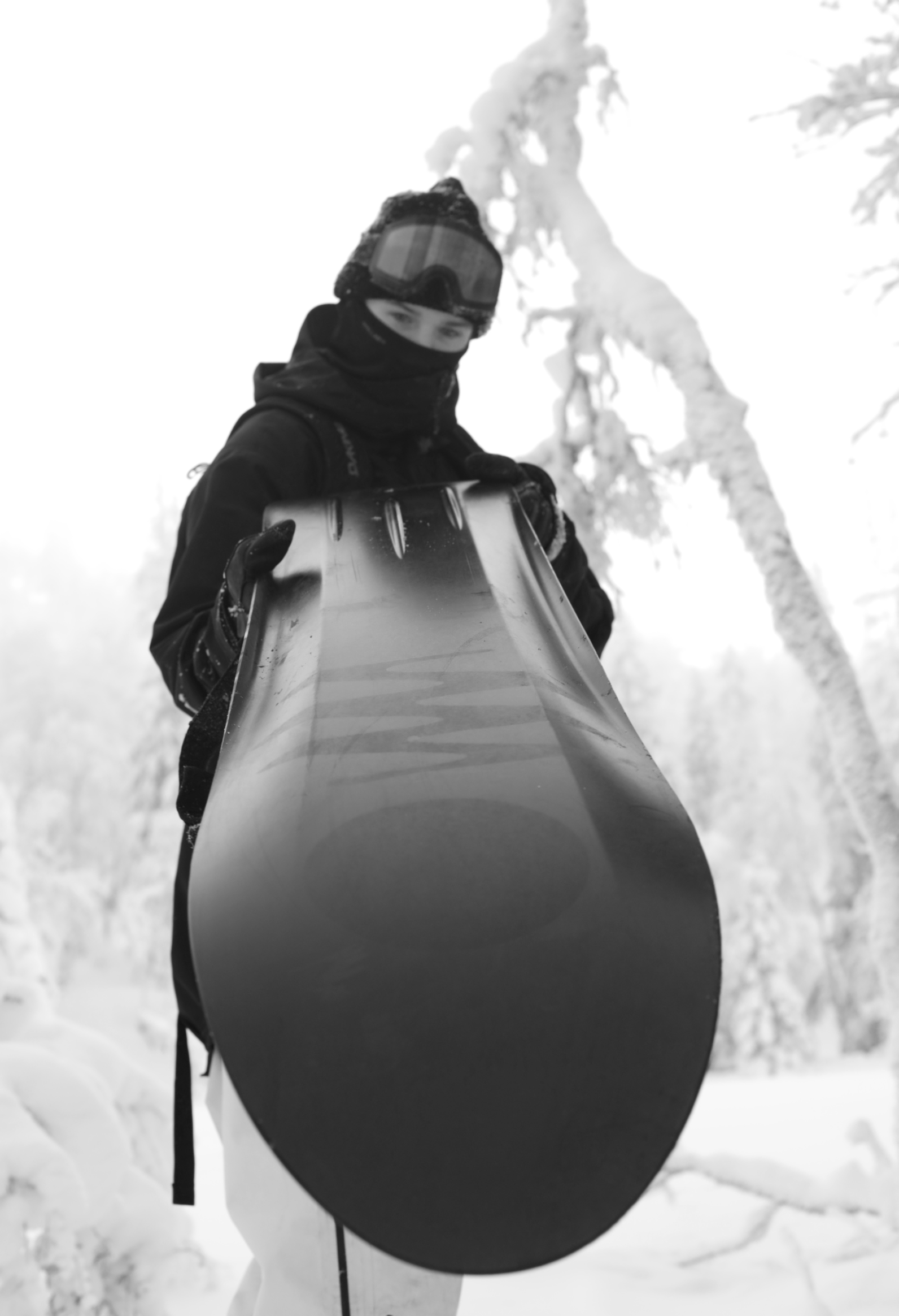 This snowboard is made from paper — and it shreds like a dream