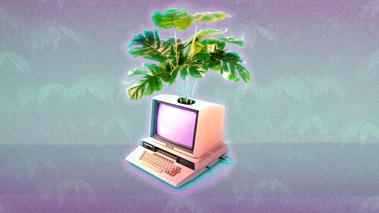 Why Zig has become the highest-paying programming language