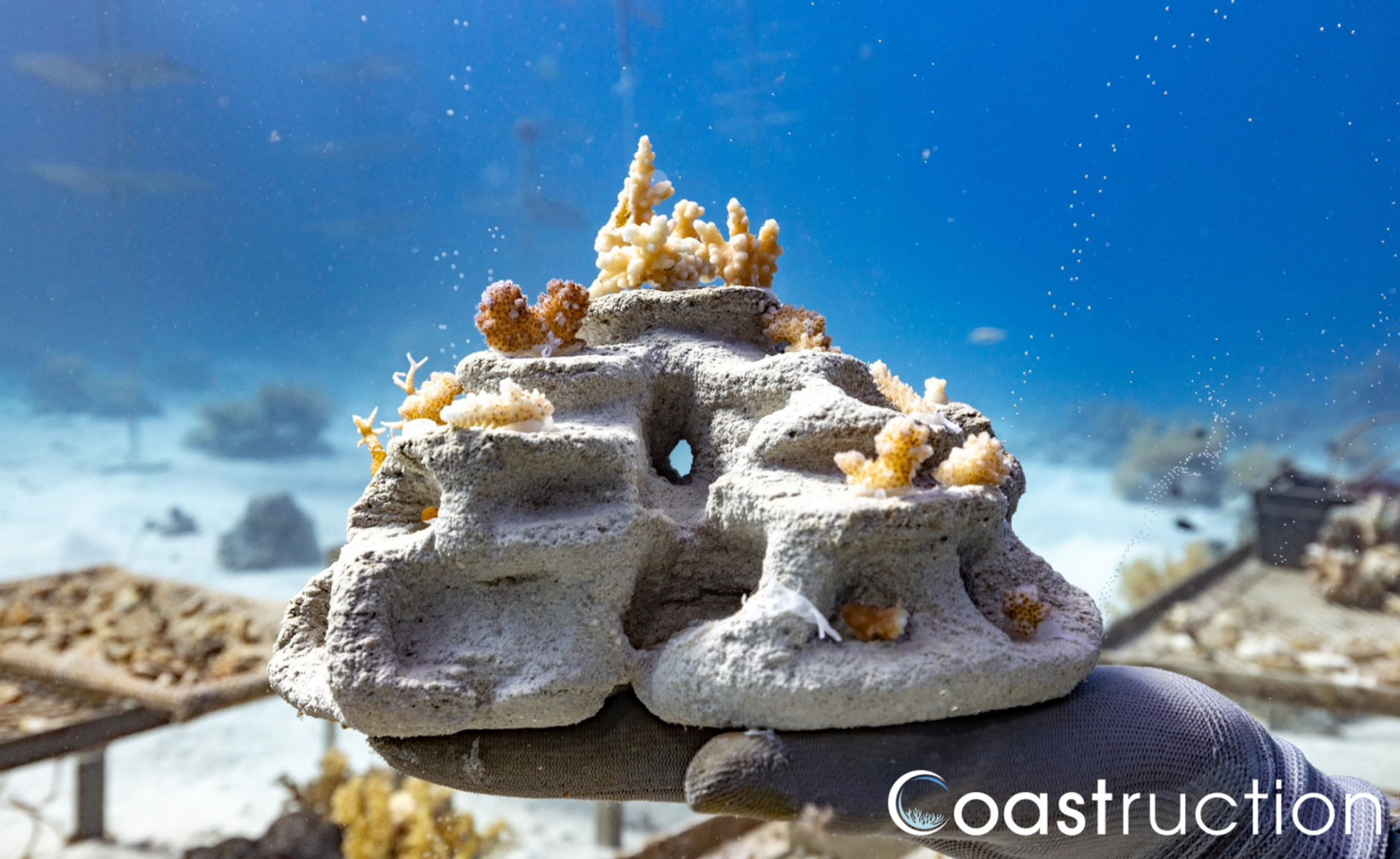world-ocean-day-3d-printed-coral