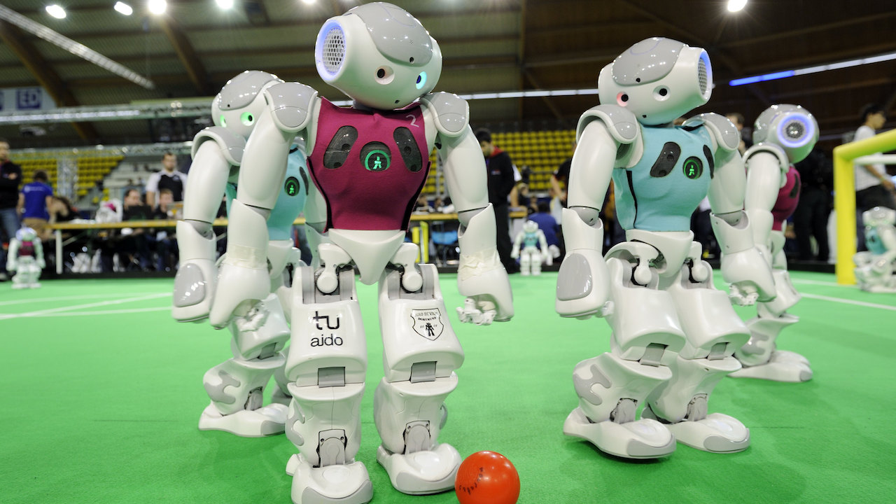 Bananas, champagne, and robots: Why automation still needs humans